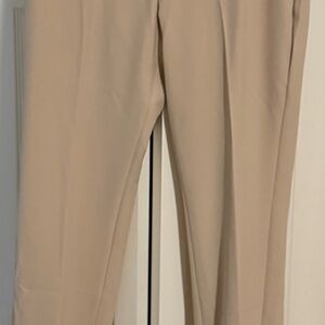 Express Light Beige Pants